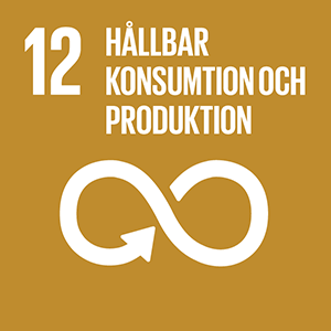 12: Hållbar konsumtion och produktion